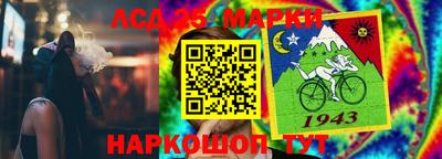 гидропоника Краснознаменск