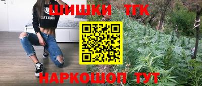 СК Краснодар