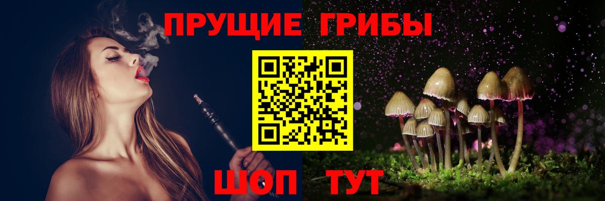 Кузнецк  Псилоцибиновые грибы Magic Shrooms  Вход с VPN 